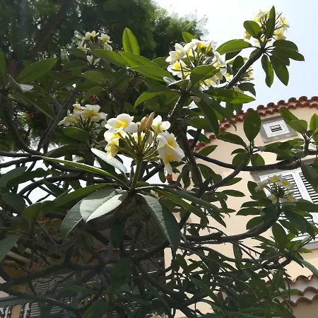 Ciudad Jardin Сasa de vacaciones Las Palmas de Gran Canaria